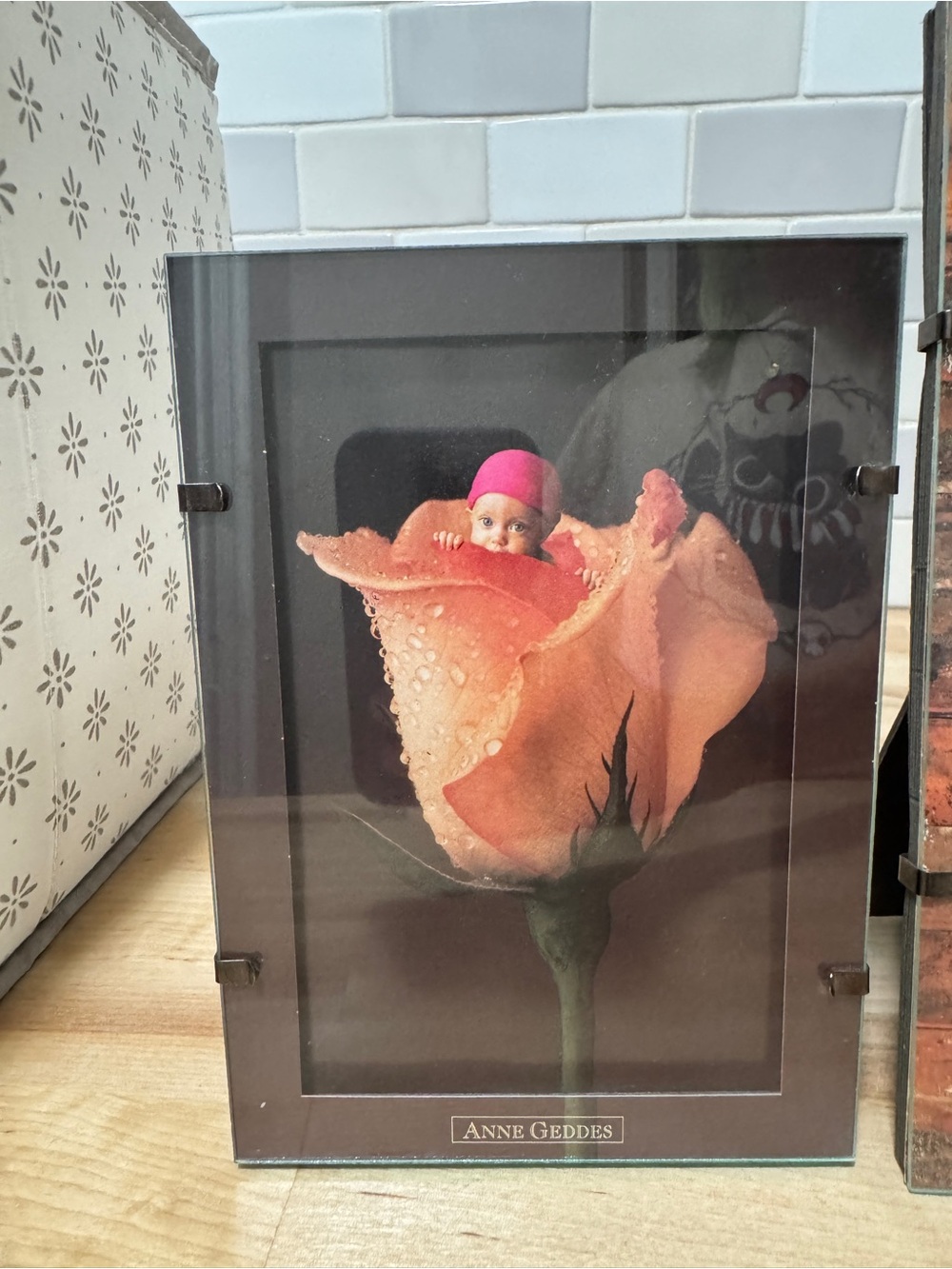 3 Anne Geddes garden baby art framed pictures - Picture 5 of 7